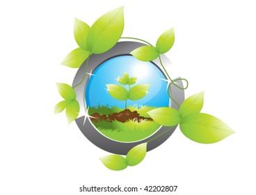 seedlings