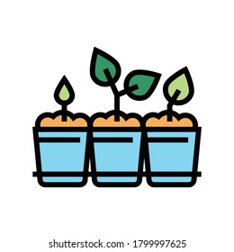 seedlings in cup color icon vector. seedlings in cup sign. isolated symbol illustration