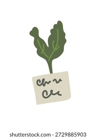 seedlings with descriptive garden label