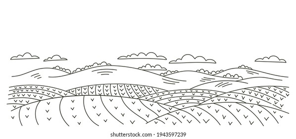 Seedlings fields landscape. Countryside rural landscape. Growing vegetables garden rows. Agriculture. Vector contour sketch line. Young plants.