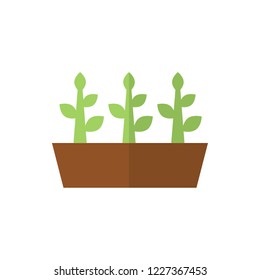 seedlings flat vector icon