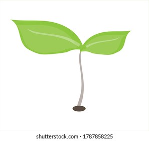 Seedlings of green trees in vector format