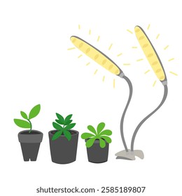 Seedlings growing in cups under lamps in flat cartoon design. Led lightning with full spectrum and sunlight effect for indoor plant gardening, sowing and domestic greenhouse. Vector illustration