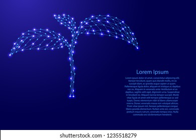 Seedlings growing from futuristic polygonal blue lines and glowing stars for banner, poster, greeting card. Vector illustration.