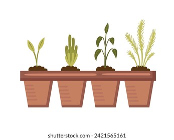 Seedlings for growing plants in peat cups. Vector illustration in cartoon flat style. Growing seedlings for harvest