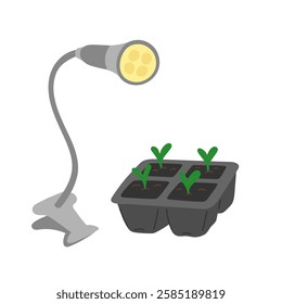 Seedlings growing in tray under lamp in flat cartoon design. Led lightning with full spectrum and sunlight effect for indoor plant gardening, sowing and domestic greenhouse. Vector illustration