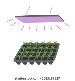 Seedlings growing in tray under lamp in flat cartoon design. Led lightning with full spectrum and sunlight effect for indoor plant gardening, sowing and domestic greenhouse. Vector illustration