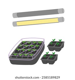 Seedlings growing in trays under lamps in flat cartoon design. Led lightning with full spectrum and sunlight effect for indoor plant gardening, sowing and domestic greenhouse. Vector illustration