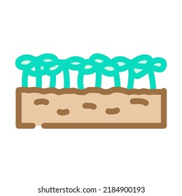 seedlings lettuce plant color icon vector. seedlings lettuce plant sign. isolated symbol illustration
