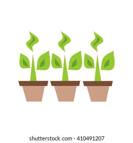 Seedlings in the pot vector illustration