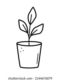 Seedlings in a pot, vector illustration of plants in a flower pot doodle style