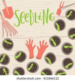 Seedlings in pots with garden tools on wooden textured floor