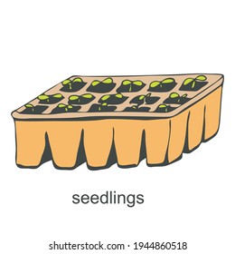 Seedlings in pots in the style doodles white background  Vector illustration 