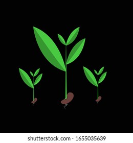 Seedlings that are growing out of seeds vector illustration EPS10.