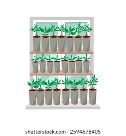 Seedlings of vegetables in cups on a windowsill . Vector illustration