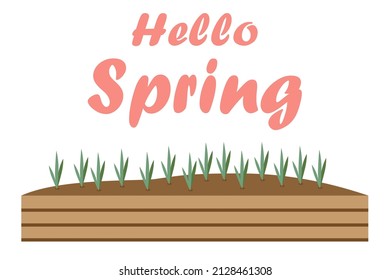 seedlings in a wooden box vector illustration