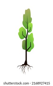 Seedlings of young trees with roots. Garden plants. Fruit plantings. Isolated on white background. Single object icon. Vector.