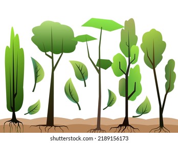 Seedlings of young trees with roots. Garden plants. Fruit plantings. Isolated on white background. Bottom horizontal composition border. Vector
