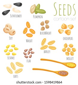 Seeds and beans set of isolated illustrations, cartoon style vector clip-art.