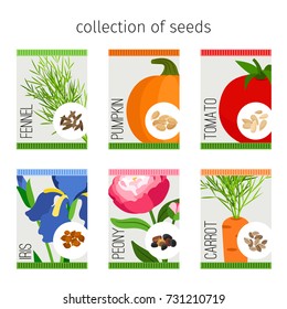 Seeds collection in package. Tomato and fennel, pumpkin and iris, peony and carrot seeds for garden. Vector illustration