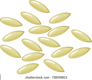 Seeds of cucumber on white background
