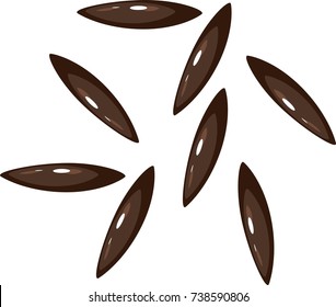 Seeds of dandelion on white background
