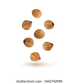 Seeds of dry coriander, set, for design. Vector
