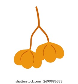 Sementes de euônimo, duas bagas em um galho. Vetor elemento desenhado à mão simples em um fundo branco para adesivos, web design e cartões postais