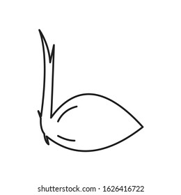  Seeds and Gardening Icons Line draw