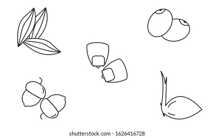  Seeds and Gardening Icons Line draw