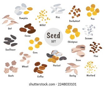 Seeds and grains flat icons set. Cultivated crop used as food. Raw barley, oat, wheat, chickpeas, bean, corn, beets, pea, haricot, sesame. Agriculture. Color isolated illustrations