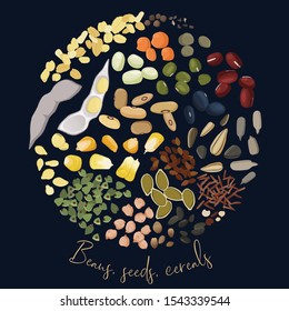 Seeds of hemp,chia, pumpkin, sunflower, sesame, flax.Green,white, red,black and soy beans.Buckwheat,oats flakes and lentil, rice and quinoa, corn and chickpeas grains. Vector icons in circle with quot