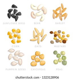 Сereal and seeds little heaps set. Sunflower seeds, beans, barley, corn, oats, mustard, chickpeas, pumpkin seeds and green dried peas. Agriculture and nutrition vector icons collection. 