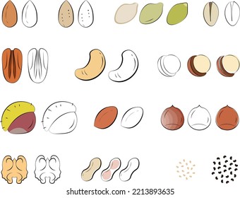 seeds and nuts collection set. flat vector illustration