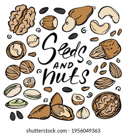 SEEDS AND NUTS Food Sketch With Pistachio Almond Seed Walnut Hazelnut Cashew With Text Clip Art Vector Illustration Set For Print
