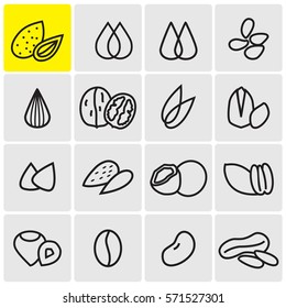 Seeds and nuts linear icons