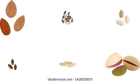 Seeds and nuts set vector illustration