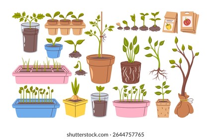 Seeds and seedlings farm, home garden or greenhouse elements set isolated on white background