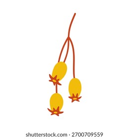 Seeds of shrub, three yellow berries on a twig. Vector simple hand-drawn element on a white background for stickers, web design, and postcards