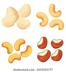 semillas, especias y nueces. conjunto de diseños vectoriales