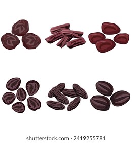 semillas, especias y nueces. conjunto de diseños vectoriales
