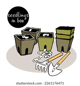 seeds are stored in a peat container. Seedlings in biodegradable pots. Sprouted plant seeds are transplanted to home beds with the help of garden tools. 