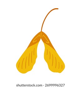 Seeds of sycamore maple tree, yellow and brown colors. Vector simple hand-drawn element on a white background for stickers, web design, and postcards