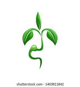 a seeds that are ready to be planted, fresh green colors, there are roots, branches, and leaves