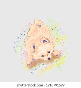 Seeet playing puppy vector illustration 