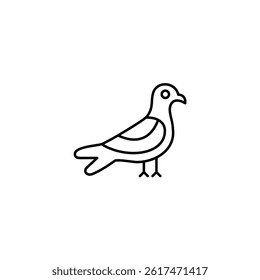 Seegull vector line icon icons design