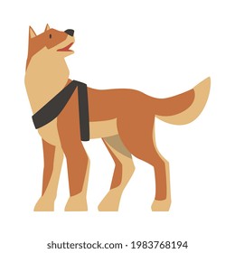 Seeing Eye Dog, Specially Trained Assistance Guide Pet Dog Cartoon Vector Illustration
