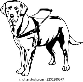 Seeing Eye Guide Dog Vector Illustration