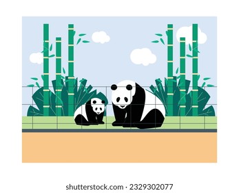 Seeing pandas at the zoo, both pandas are so adorable, zoo vector illustration.