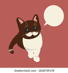 
It seems this cat wants to tell you something.